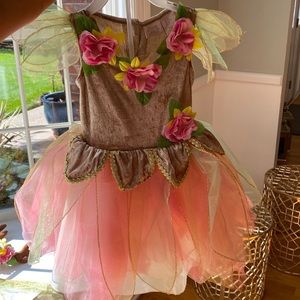 Very cute reindeer fairy costume for a girl size 3T. Beautiful colors.